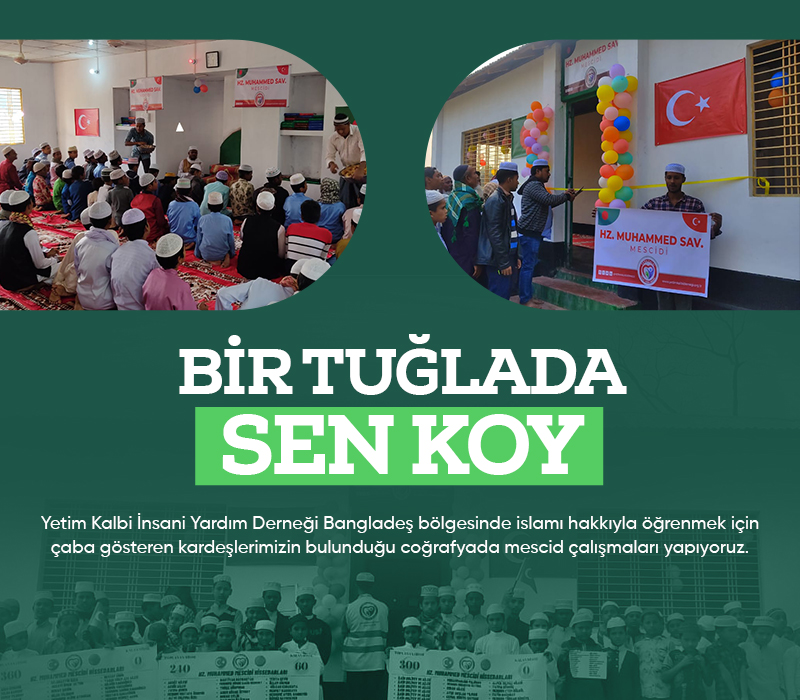 Bir Tuğla'da Sen Koy
